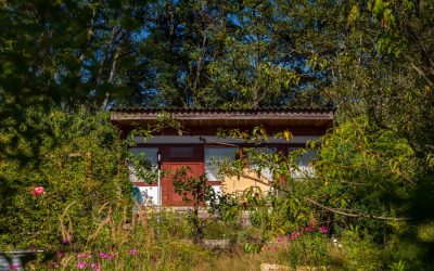 Garten Nr. 4 zu verpachten