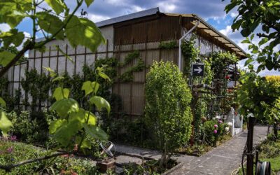 Garten Nr. 47 zu verpachten